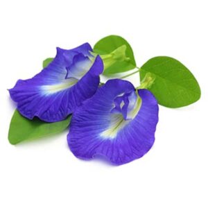 Nature’s Secrets Shankpushpi (Convolvulus Pluricaulis) 50g