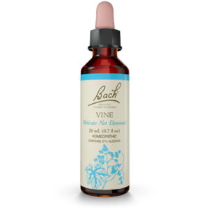 Beach Vine 20ml